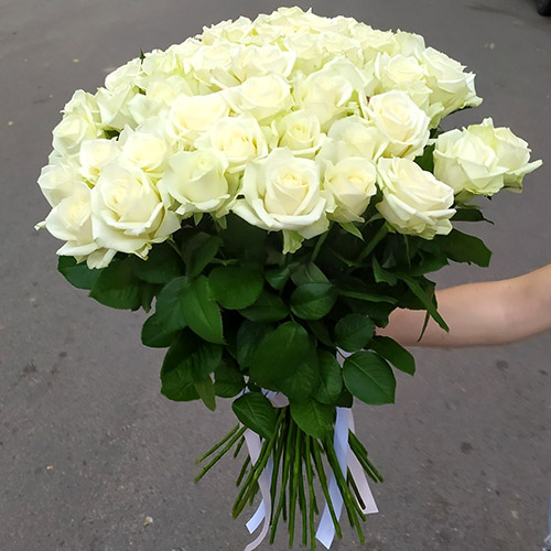 Фото товара 51 біла троянда у Івано-Франківську