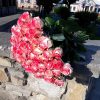 фото 51 троянда "Джумілія"