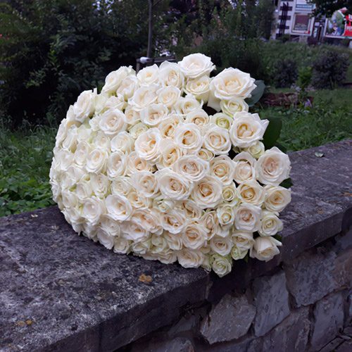 фото букета 101 біла троянда