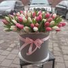 101 тюльпан в коробці (біло-рожевий) фото товару