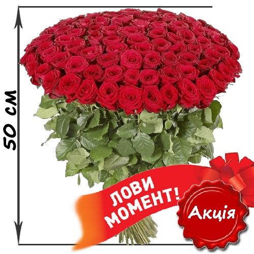 Фото товара 101 червона троянда (50см) у Івано-Франківську