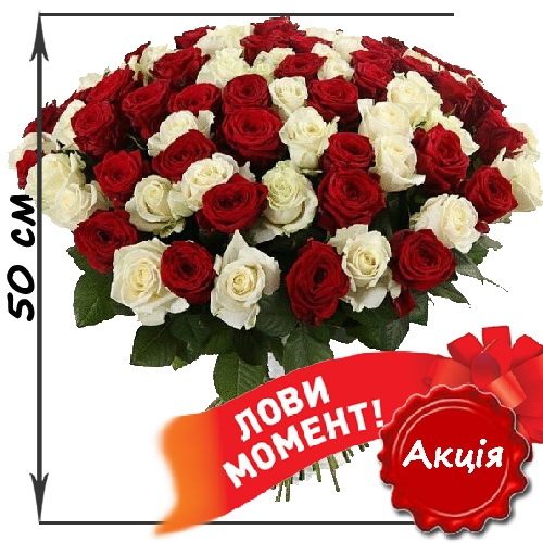 Фото товара 101 троянда мікс червона і біла (50 см) у Івано-Франківську