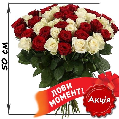 Фото товара 51 троянда червона та біла (50 см) у Івано-Франківську