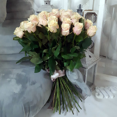 Фото товару 51 кремова троянда