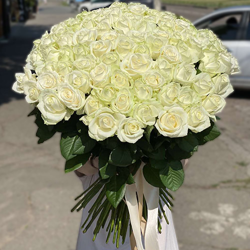 Фото товара 101 біла троянда у Івано-Франківську