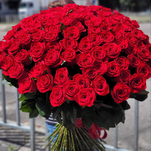 Фото товара 101 червона троянда у Івано-Франківську